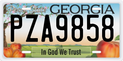GA license plate PZA9858