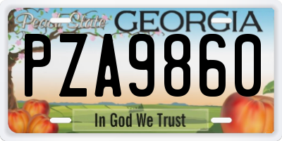 GA license plate PZA9860