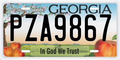 GA license plate PZA9867
