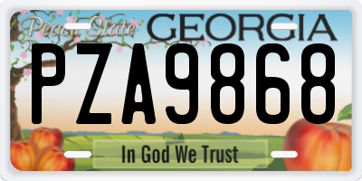 GA license plate PZA9868
