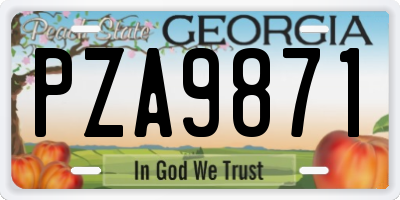 GA license plate PZA9871