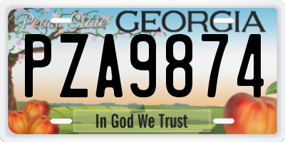 GA license plate PZA9874