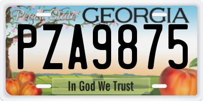 GA license plate PZA9875