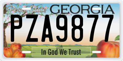 GA license plate PZA9877