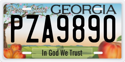 GA license plate PZA9890