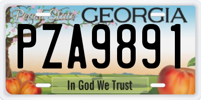 GA license plate PZA9891