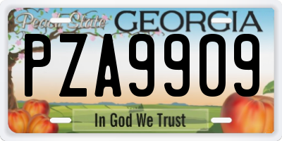 GA license plate PZA9909