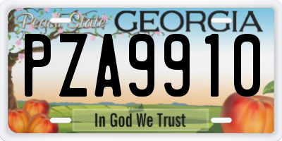 GA license plate PZA9910