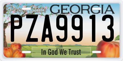 GA license plate PZA9913