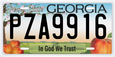 GA license plate PZA9916