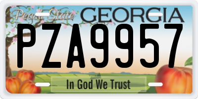 GA license plate PZA9957