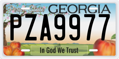 GA license plate PZA9977