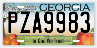 GA license plate PZA9983