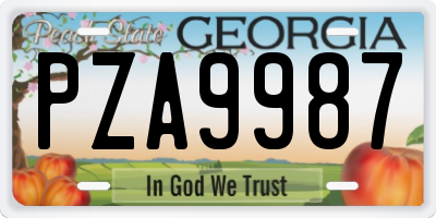 GA license plate PZA9987