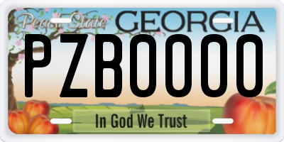 GA license plate PZB0000
