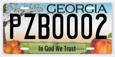GA license plate PZB0002