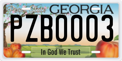 GA license plate PZB0003