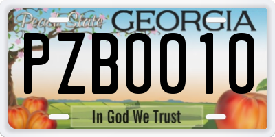 GA license plate PZB0010