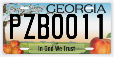 GA license plate PZB0011
