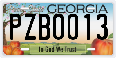 GA license plate PZB0013