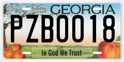 GA license plate PZB0018
