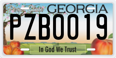 GA license plate PZB0019