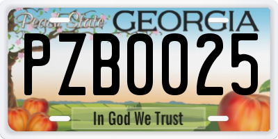 GA license plate PZB0025