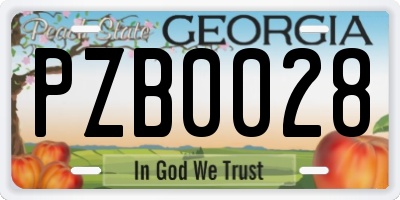 GA license plate PZB0028