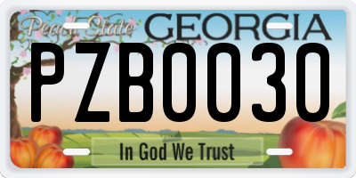 GA license plate PZB0030