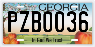 GA license plate PZB0036