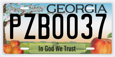 GA license plate PZB0037