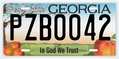 GA license plate PZB0042