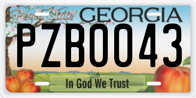 GA license plate PZB0043