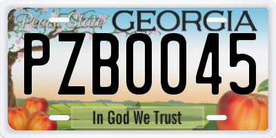 GA license plate PZB0045