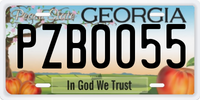 GA license plate PZB0055