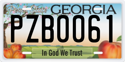 GA license plate PZB0061