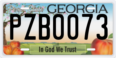 GA license plate PZB0073