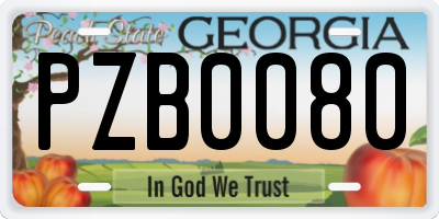 GA license plate PZB0080