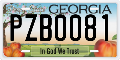GA license plate PZB0081