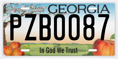 GA license plate PZB0087