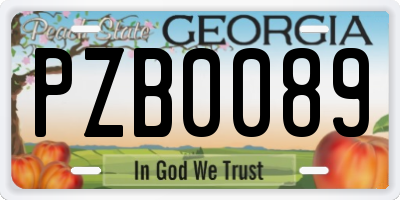 GA license plate PZB0089