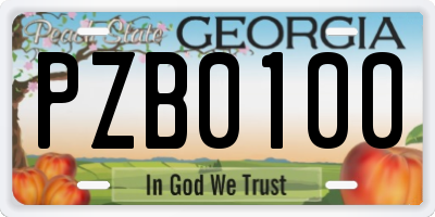 GA license plate PZB0100