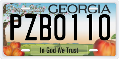 GA license plate PZB0110