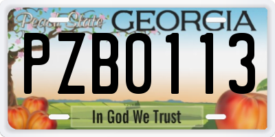 GA license plate PZB0113