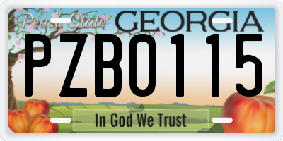 GA license plate PZB0115