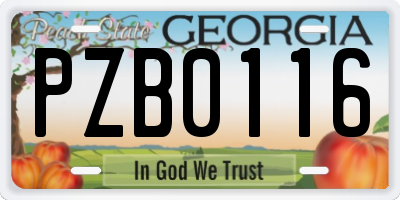 GA license plate PZB0116