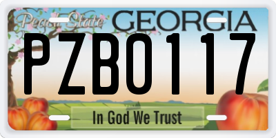 GA license plate PZB0117