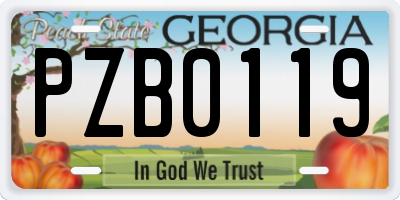 GA license plate PZB0119