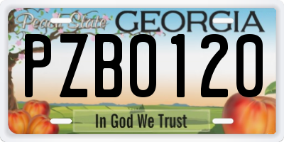 GA license plate PZB0120