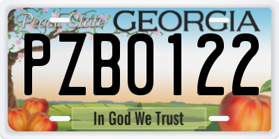 GA license plate PZB0122